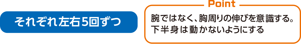 各10回 肩甲骨の動きを意識する