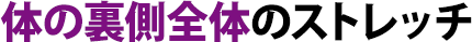 体の裏側全体のストレッチ