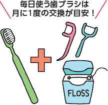 毎日使う歯ブラシは月に1度の交換が目安！